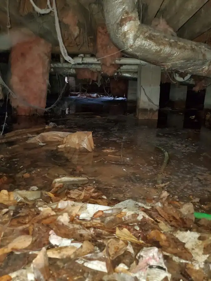 Crawl space flood assessment for Commercial Water Damage Restoration in New Brighton